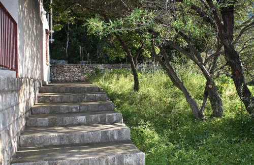 Apartments by the sea Prozurska Luka - Mljet - 617 - Foto 13