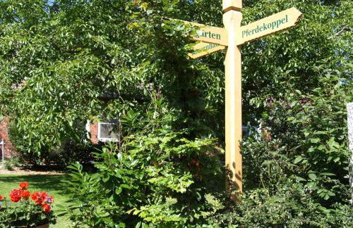 Haus an der Pferdekoppel C eingezäunt 130m - Photo 15