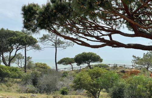 Praia da Falésia Alfa Mar Albufeira - Foto 1