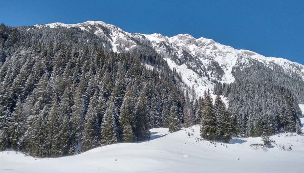 Piatra Craiului National Park Hiking Tour - Foto 3