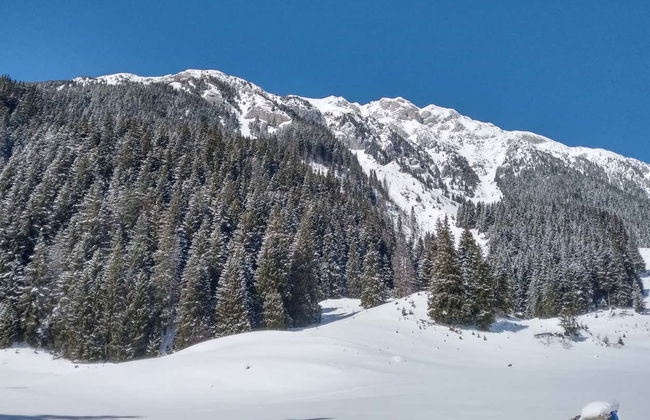 Senderismo por el Parque Nacional Piatra Craiului - Foto 3