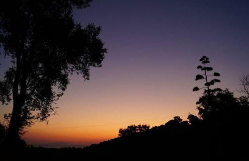 Maison au calme piscine mer au coeur de la nature U Nuciolu - Foto 44