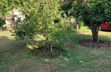 SOFIAS APARTMENTS in LESVOS - Photo 20