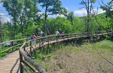 Bambi Forest House - Photo 22