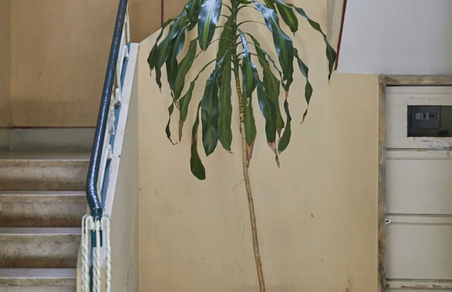 2 Bedroom Apartment Sol de Linda-a-Velha - Foto 38