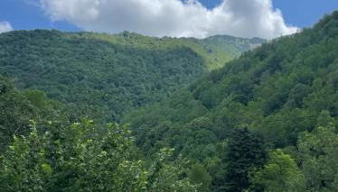 Appartement dans la nature - Foto 5