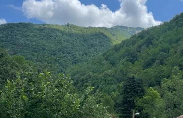 Appartement dans la nature - Foto 5