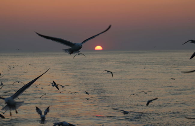 Fischer sien Huus - Foto 61