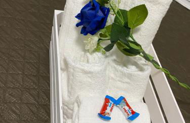 The Samantha Guest House - Photo 47