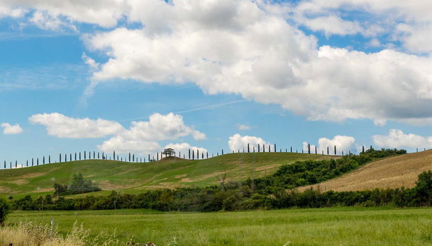 Excursion à Pienza, Montalcino et Monteriggioni - Photo 4, Paysages que vous verrez au cours de l'excursion
