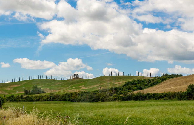 Excursión a Pienza, Montalcino y Monteriggioni - Foto 4