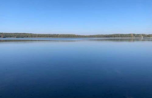 Między Brzozami - Foto 41