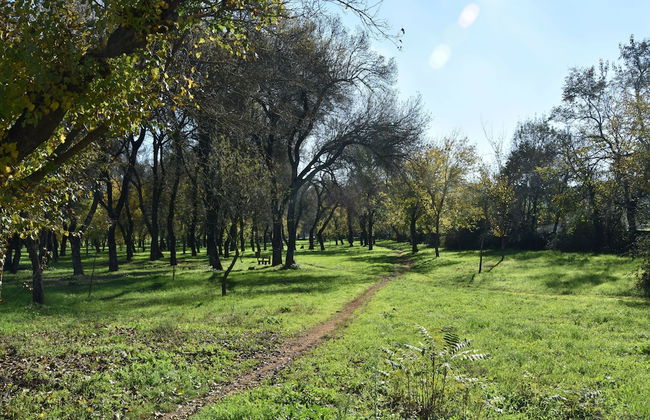 Finca La vega - Foto 70