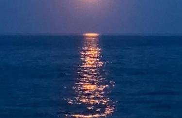 Le rivage - Photo 1