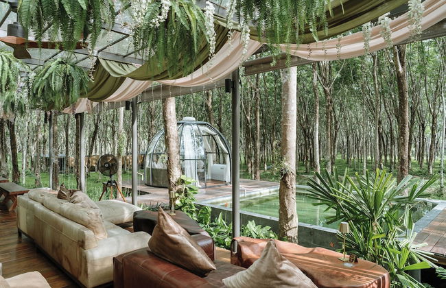 Timber Society Boutique Hideaway - Photo 14