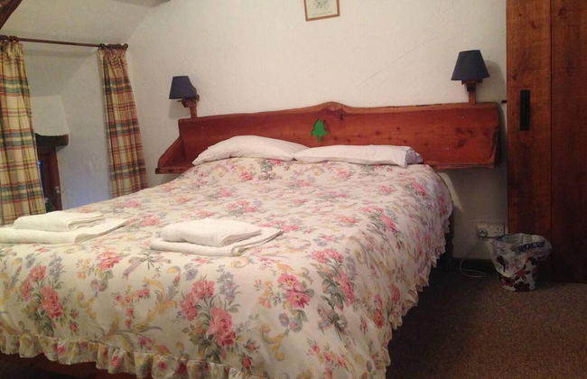 Relaxing Holiday in Millpond Cottage - Cwmiar - Photo 4