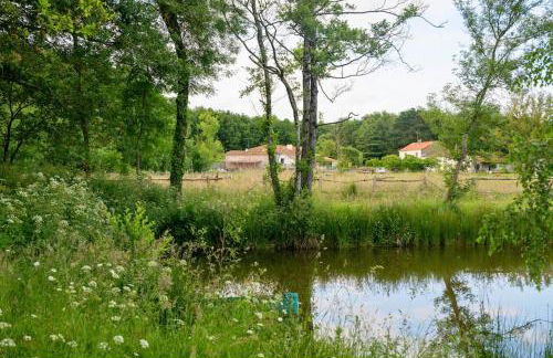 L'Evasion en Pierre Piscine et Étang Privé - Photo 43