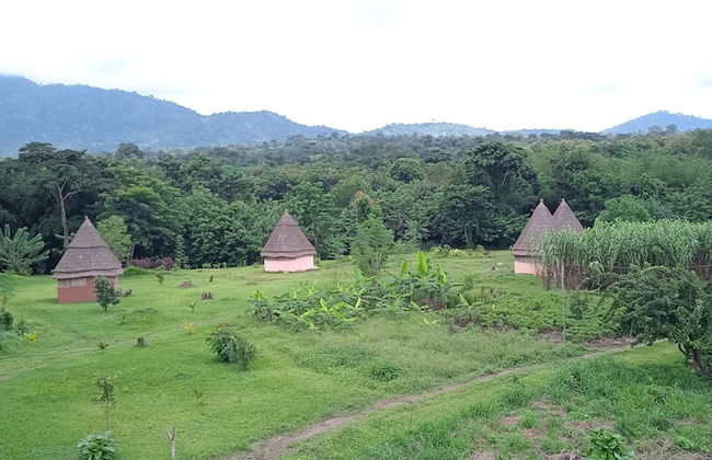 Refuge du Mont Agou - Photo 33