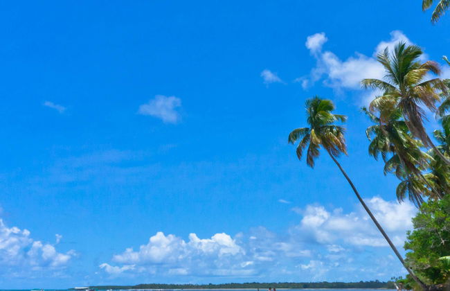 Excursión a Morro de São Paulo - Foto 1