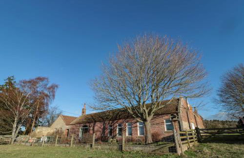 Silverbirch - Foto 20