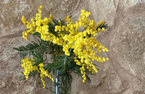 Casa Rural Alquería de Segovia - Foto 43