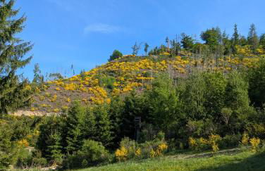 Ferienwohnung im Schwedenhaus - Foto 16