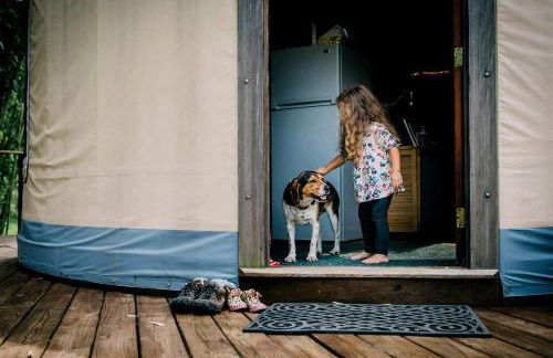 Magical Marshall Accommodation Ideal for a Peaceful Getaway in North Carolina - Foto 13