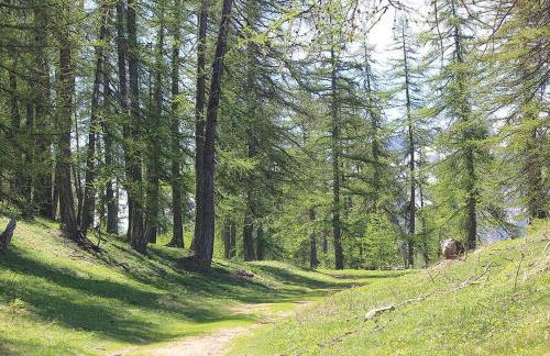 CHALET 16 PERS PROCHE DES PISTES - Foto 31