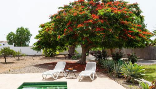 Caserío de Guaza - Foto 2, Garden