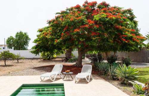 Caserío de Guaza - Foto 2