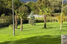 Home Imele - Foto 11