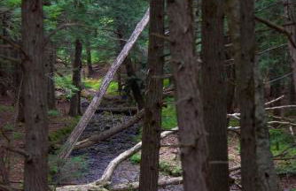 Lincolnville 2BR - Beach Vibes & Backyard BBQ - Foto 41