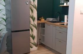 Palmowy Zakątek 2 pokoje dla rodziny Apartament Deluxe - Foto 11