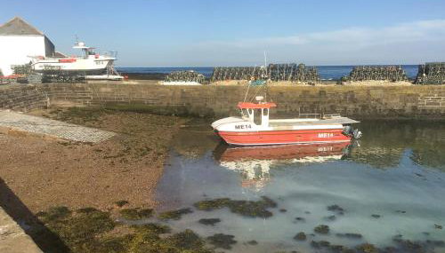 Harbour View - Foto 5