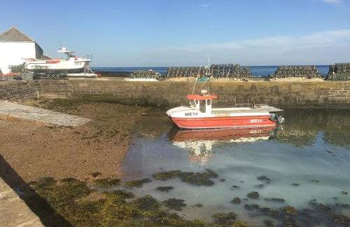 Harbour View - Photo 5