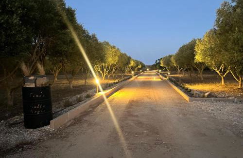Mallorca Finca Gallo Negro Santanyi Campos - Foto 22