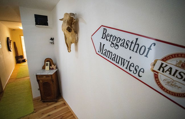 Ferienwohnungen Mamauwiese - Foto 71