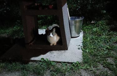 Domek Raszówka - Foto 19