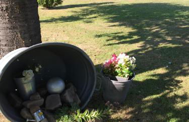 Ferienwohnung An der Weser - Foto 20