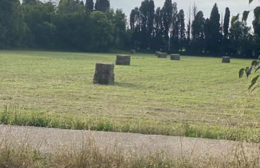 Mazet au pied des Alpilles, avec Piscine & Pétanque - Foto 28