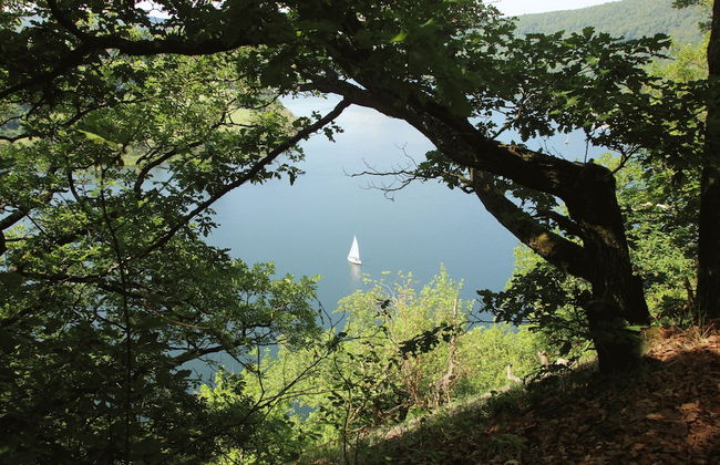 Friedrichs Ferienwohnungen - Foto 40