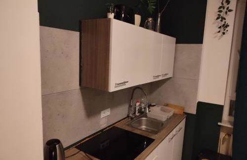 Jungle in Kelkheim for 4 Persons 24 h check in - Photo 46