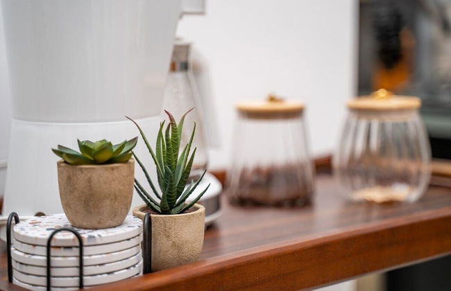 Tower Condo Pretty Ocean View Boca Chica - Photo 20