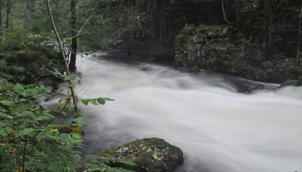 4 Person Holiday Home in Tarnaby - Foto 5, Miscelánea