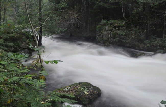 4 Person Holiday Home in Tarnaby - Foto 5