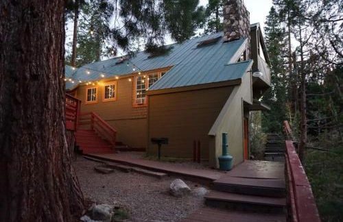 Fox Den- Pet Friendly Suite in Shaver Lake - Photo 10