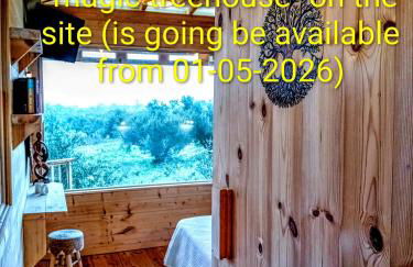 Zante Lagos holiday homes Treehouse and Villa - Foto 3