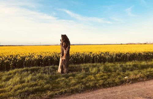 Ferienwohnung am Harz - Foto 32