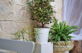 Appartement-Terrasse Centre Historique - Foto 13