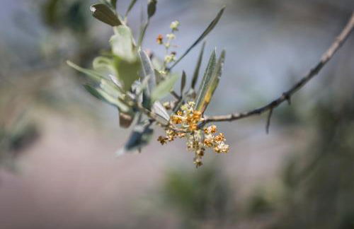 Appartamento Alvavista1 - Foto 25